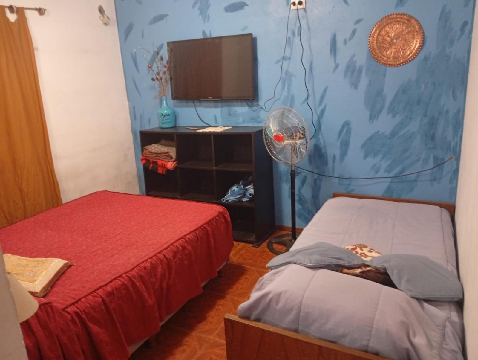Apartment Zut1